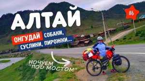 АЛТАЙ ЗАБРАЛ ВЕЩЬ... Велопоход НА АЛТАЙ - Часть шестая: ОНГУДАЙ!