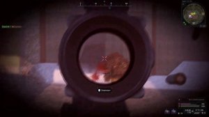 STALCRAFT: X  АК-12 +15 На Мастерских Серверах