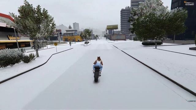 ОДНОЙ НОГОЙ В МОГИЛЕ, НО МНЕ ВЕЗЕТ | GTA 5 RP Blackberry смотреть онлайн