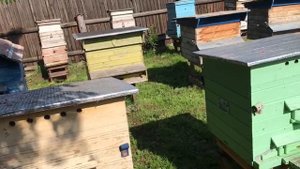 3 ИЮНЯ, НОЧЬ БЫЛА ПРОХЛАДНОЙ