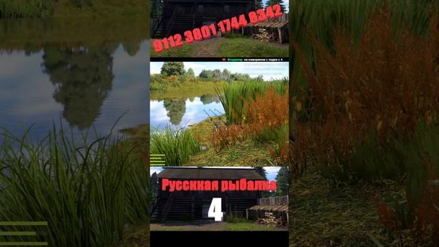 РУССКАЯ РЫБАЛКА 4 смотреть онлайн