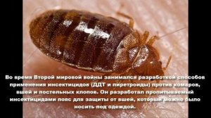 Патрик Альфред Бакстон