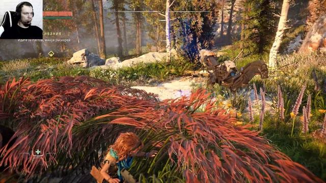 СОБСТВЕННОЕ ИМЯ ► Horizon Zero Dawn Remastered #1 смотреть онлайн