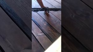 Тест металлоискателя АКА Сигнум МФД