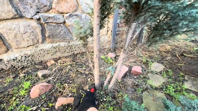 КАК ОЧЕНЬ БЫСТРО МОЖНО РАСШИРИТЬ ПРОСТРАНСТВО НА УЧАС