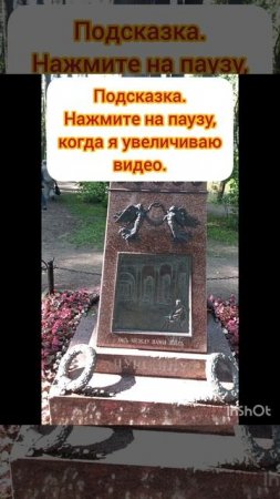 По следам Пушкина. Ветеринарная загадка.