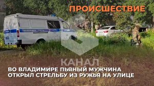 Во Владимире пьяный мужчина открыл стрельбу из охотничьего ружья