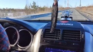 Прошивка "Super Drive" от Александра Жигулева. Suzuki Grand Vitara 2011