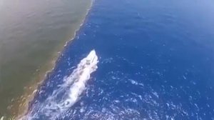 Два моря — Северное и Балтийское. Видео.