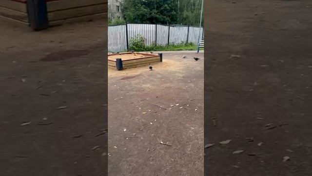 Мои инсайты и озарения за прошедшие дни, размышления после пробежки.