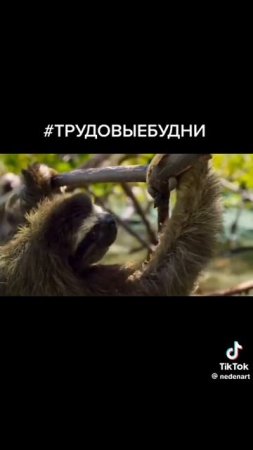 scene_output.mp4