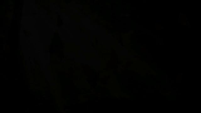 Ягодка Малинка (New 2025) Новые русские песни 2025