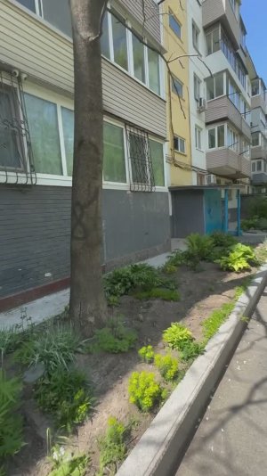 Осмотр МКД г. Владивосток, ул. Амурская 6 (обслуживается УК Город с 2015 г.)