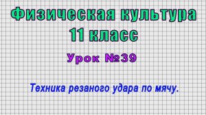 Физическая культура 11 класс (Урок№39 - Техника резаного удара по мячу.)