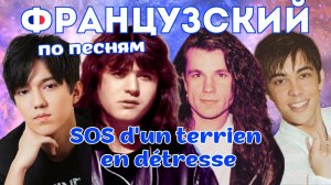 SOS d'un terrien en détresse, разбор песни