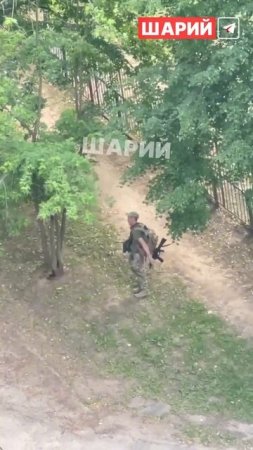 Покемонов на детской площадке ловил. Хорошо не убил никого.