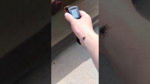 1000015089.mp4
