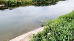 Ловлю по проверенной схеме