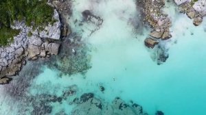 Swimming in Crystal Water   Drone Aerial View   Free stock footage   Free HD Videos - no copyright