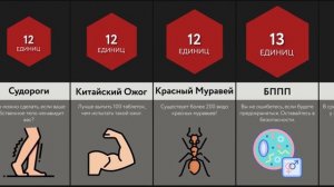 Сравнение_ Человеческая Боль - 3 ЧАСТЬ