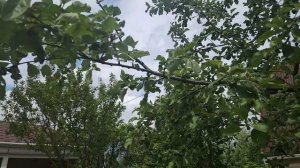 Обо всем понемногу 03-06-2025