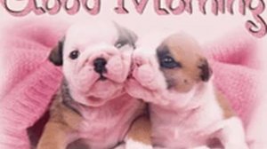 доброе утро!