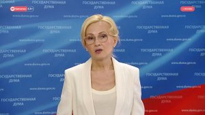 Яровая: Министерства и Генпрокуратура подтвердила значимость законов против нелегальной миграции