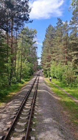 Бор, велосипедист..., романтика дороги Новосибирской ДЖД