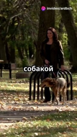 Почему растяжка важна в реабилитации? EfimovTRANING4