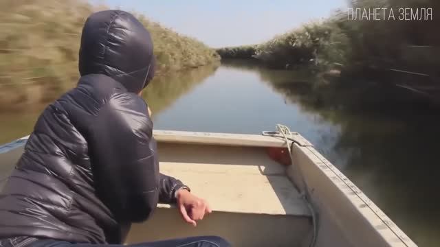 Азовское море Море кос и лиманов  Интересные факты про Азовское море