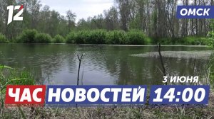 Утонули два человека / Фестиваль фильмов / Мошенники. Новости Омска