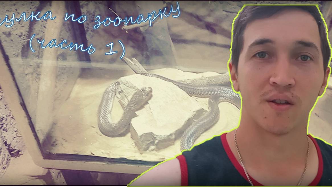 ПРОГУЛКА ПО АШХАБАДУ | АШХАБАДСКИЙ ЗООПАРК | ЖИРАФ В АШХАБАДЕ??!!
