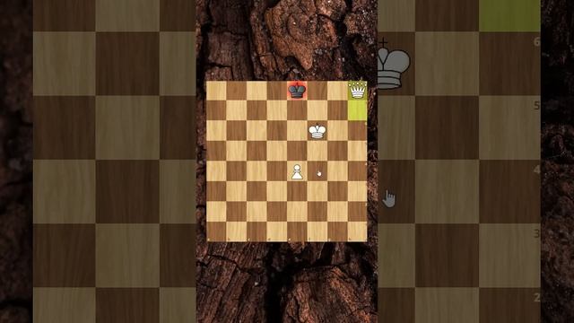 СЛОН НЕ СМОГ ОСТАНОВИТЬ ЭТИ ПЕШКИ!! смотреть онлайн