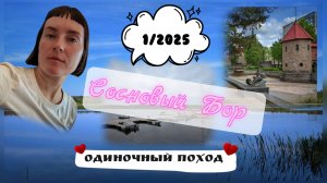 Сосновый Бор. Одиночный поход от станции 75 км до ст. Калище.
