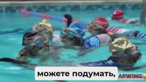 Кошачья команда по плаванию: Необычные тренировки кошачьих спортсменов! Возможности VEO 3.