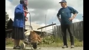 RAINBOW SIX SIEGE⛔️ЛУЧШИЕ МОМЕНТЫ⛔️RAINBOW SIX SIEGE