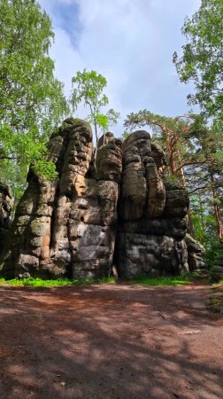 Психологический РЕТРИТ на Алтае 25 мая на 6 дней. Случилось волшебство мы стали любить и чувствовать