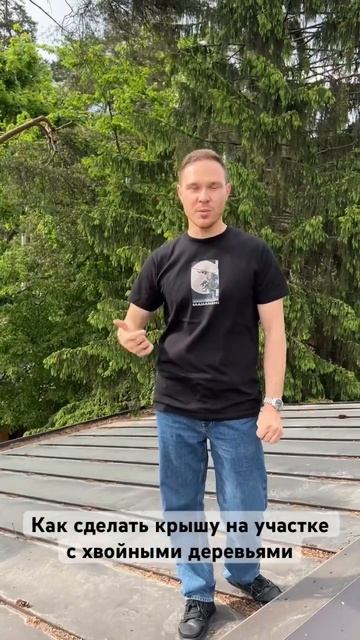 Какую крышу выбрать если у вас елки на участке смотреть онлайн
