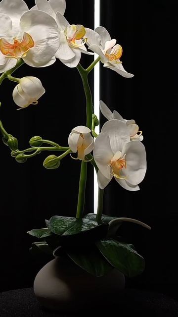 Забирай бесплатный МК по созданию реалистичных цветов, ссылка в описании канала #декор смотреть онлайн