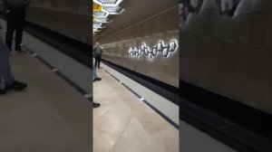 Станция метро Ботаническая Екатеринбург