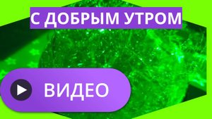 Видео с добрым утром скачать бесплатно