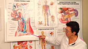Гипертоническая болезнь: симптомы, опасности и помощь