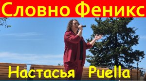 Песня Словно Феникс Настасья Puella (Анастасия Журавская)