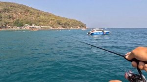 Ловля ставриды на силиконовые приманки с пирса