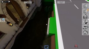 СЛЕДИМ с БРАЙСОМ за ПОДПИСЧИКАМИ в Брукхейвен РП Робл?