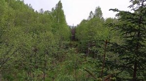 Гроза