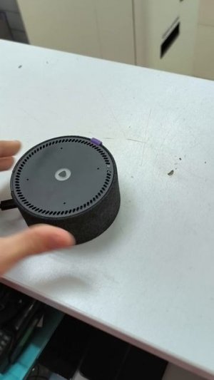 1000012623.mp4