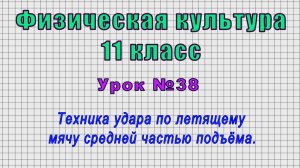 Физическая культура 11 класс (Урок№38 - Техника удара по летящему мячу средней частью подъёма.)