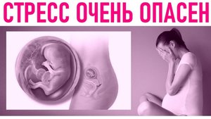 2025. СТРЕСС БЕРЕМЕННОЙ ОТРАЖАЕТСЯ НА ПЛОДЕ НЕГАТИВНО, И ОСТАВЛЯЕТ ТЯЖЕЛЫЙ СЛЕД. Мнение А.РОЖИНЦЕВА
