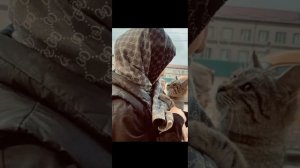 нашид